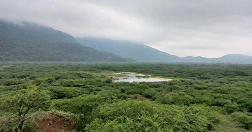 Duro Golpe al Narcotráfico: Incautan más de Tres Toneladas de Cocaína en Uribia, La Guajira