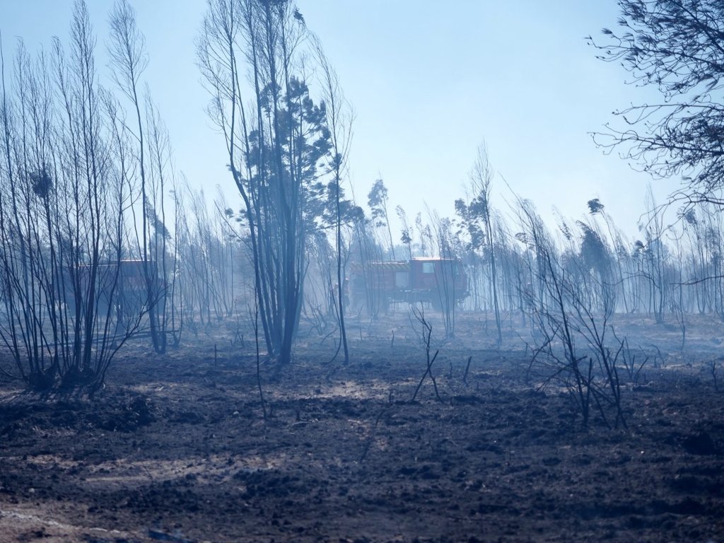 Direção-Geral da Saúde emite recomendações para proteção contra o fumo dos incêndios