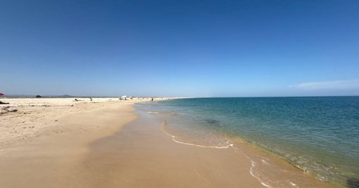 Cachalote de 14 toneladas morre após arrojar na Ilha da Armona