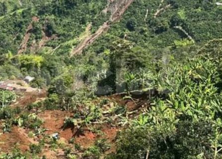 Rescatan más de 40 animales en medio de la tragedia invernal de Pueblorrico