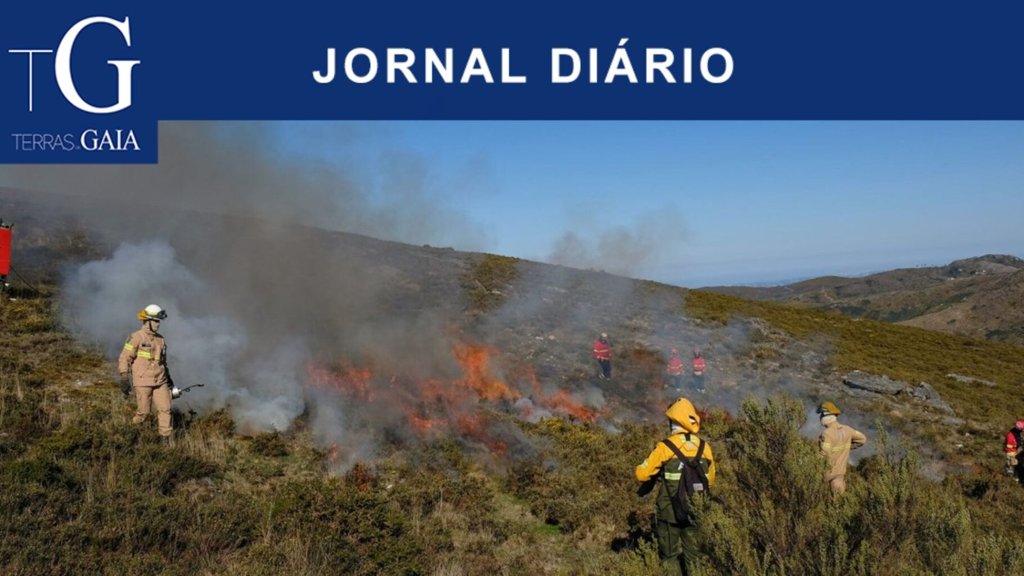 Onda de calor coloca Portugal Continental sob aviso amarelo e aumenta risco de incêndio