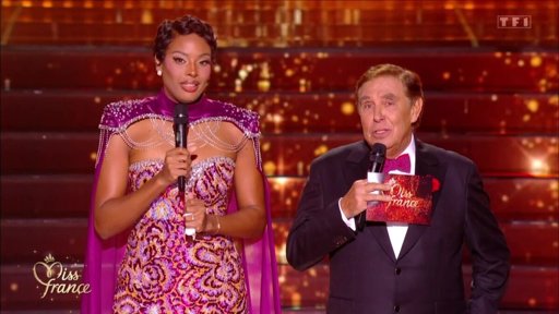 Danse avec les stars : Un casting de prestige pour la nouvelle saison sur TF1