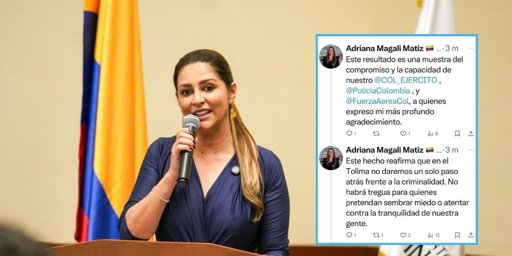 Desarticulan Plan de Atentado Contra la Gobernadora del Tolima, Adriana Matiz