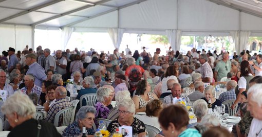 Sertã celebra Dia Internacional do Idoso com homenagem a centenários e casais em Bodas de Ouro