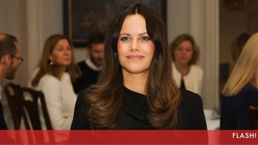 A Ascensão da Princesa Sofia da Suécia: De Estrela de Reality Show a Realeza Popular