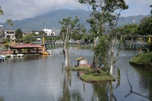 Proyectos Ambientales para la Sostenibilidad Hídrica de Pereira