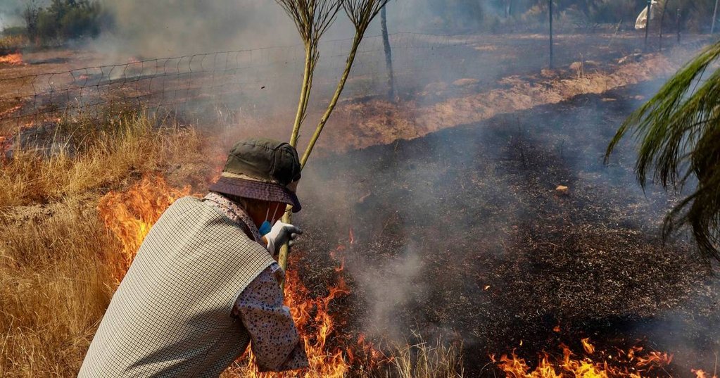 Incêndio em Trancoso queima 8.000 hectares e provoca múltiplos feridos