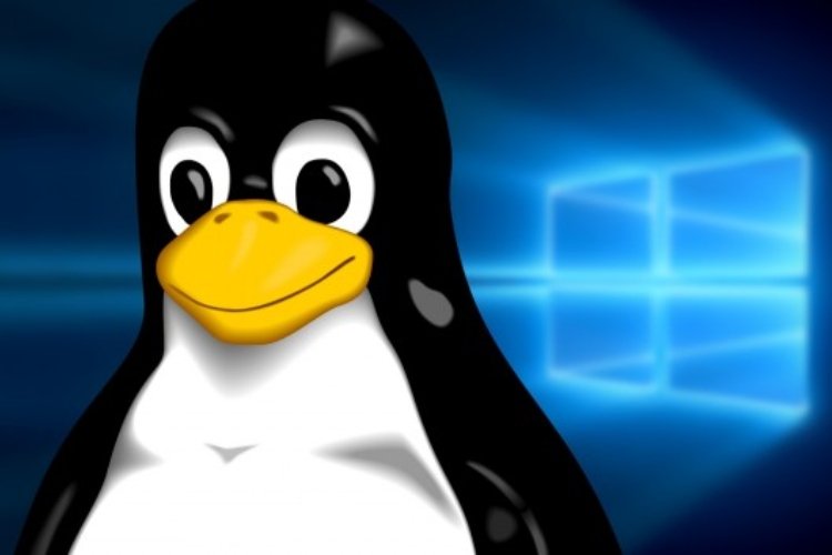 Lanzamiento del sistema operativo Linuxfx 2025