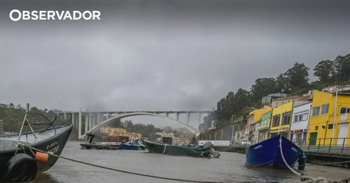 Cadáver em decomposição encontrado no rio Douro em Vila Nova de Gaia