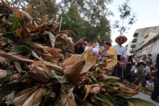 Tradição Secular da Feira Grande de São Miguel Regressa a Vila Nova de Famalicão