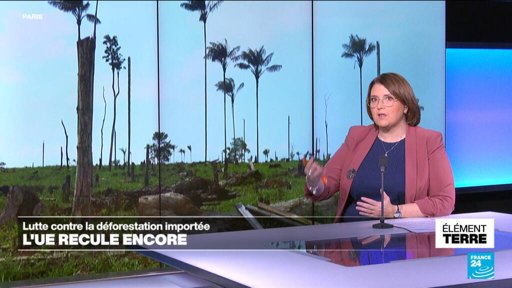 Législation environnementale : la loi anti-déforestation de l'UE reportée