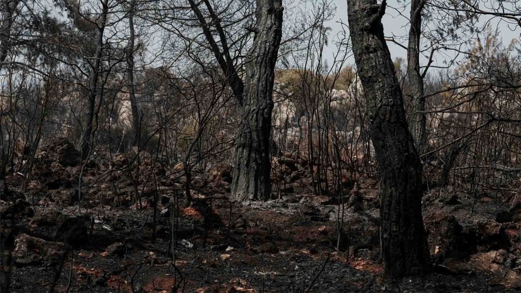 GNR Reforça Vigilância e Alerta para Prevenção de Incêndios Florestais