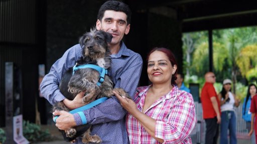 Jornada de adopción en Medellín supera las metas y promueve el bienestar animal