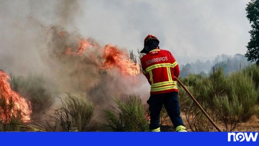 Governo Investe 52 Milhões de Euros na Prevenção de Incêndios Florestais