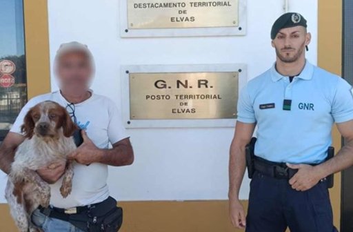 GNR Destaca-se no Resgate e Reencontro de Cães Perdidos
