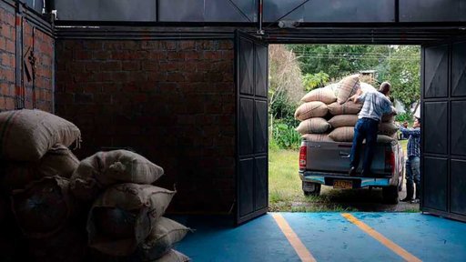 Exportaciones no minero-energéticas crecieron 21,3% hasta agosto, impulsadas por el agro