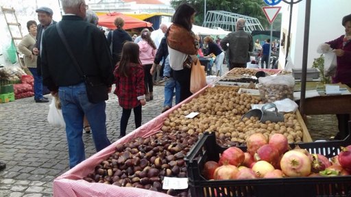 Feira dos Santos de Mação Celebra 225 Anos de História e Tradição