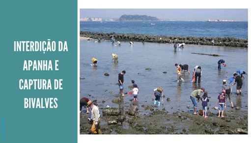 Interdição da apanha de moluscos bivalves em Peniche e no rio Lima