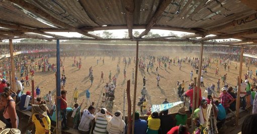 Corte Constitucional prohíbe corridas de toros, corralejas y peleas de gallos