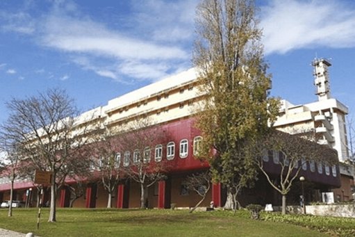 Governo Avança com Mobilização Forçada de Obstetras para a Península de Setúbal