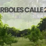 Alcaldía protege zona verde de la Calle 25 para la Feria de Cali