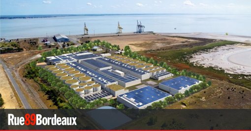 La mobilisation s'intensifie contre le projet de ferme à saumons Pure Salmon en Gironde