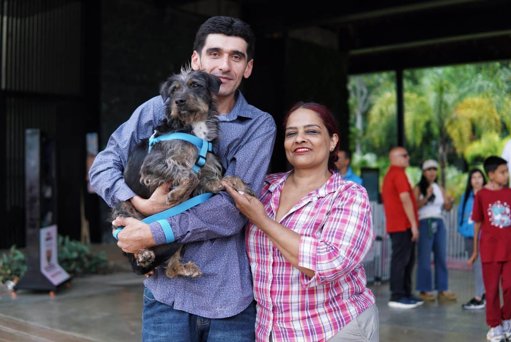 Medellín supera la meta anual de adopción de animales de compañía con exitosas jornadas