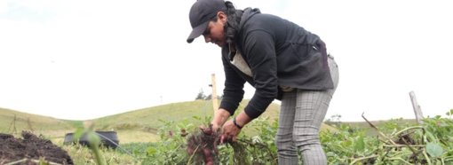 Economía colombiana crece, pero Gobierno realiza criticada operación de deuda por $23 billones