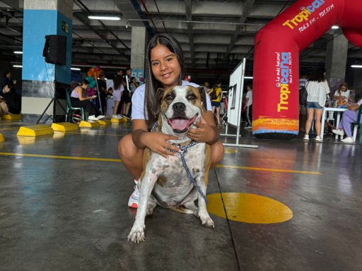 Eventos comunitarios en Cali e Ibagué reflejan el creciente rol de las mascotas en la sociedad