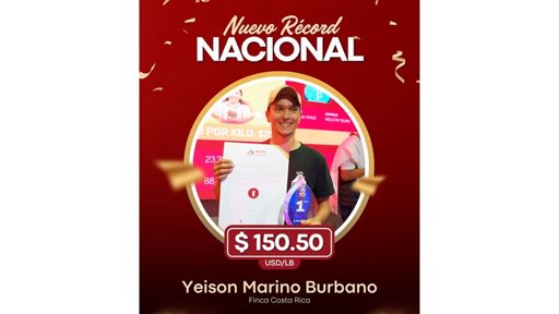 Café de Nariño rompe récord nacional en subasta y consolida a la región como potencia cafetera