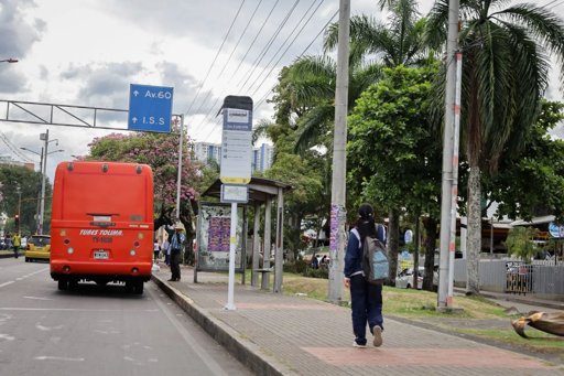 Ibagué Avanza en la Modernización del Transporte con la Instalación de 1.150 Nuevos Paraderos