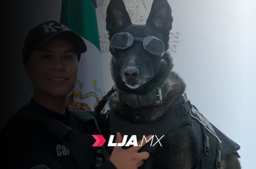 Rinden homenaje a cinco héroes caninos del Grupo K9 en Aguascalientes