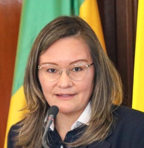 SIC sanciona a Homecenter, Olímpica y otras ocho empresas por irregularidades en Black Friday 2024