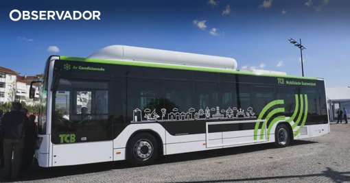 Impacto Local dos Protestos: A Greve nos Transportes do Barreiro