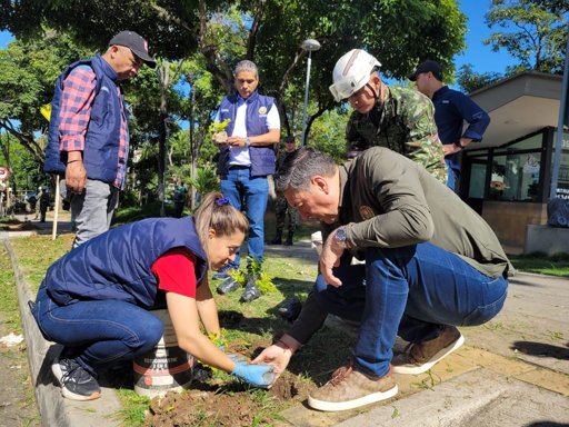 Iniciativas ambientales buscan transformar el paisaje y la economía de Bucaramanga