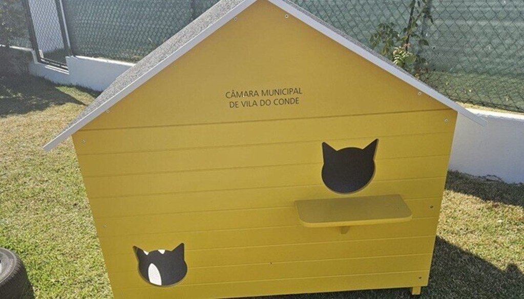 Vila do Conde reforça bem-estar felino com novos abrigos para colónias de gatos