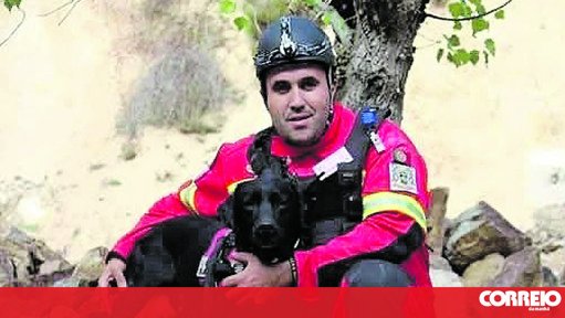 Morte da cadela-heroína Meggy gera tributos