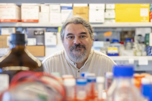 Investigação Portuguesa Abre Caminho para Prevenção de Doenças Cardíacas Congénitas