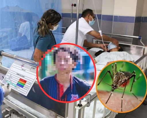 Autoridades sanitarias intensifican acciones preventivas ante alerta por dengue