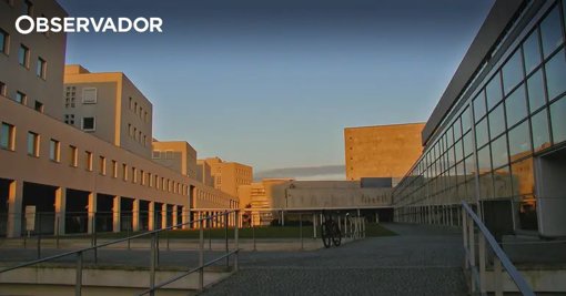 Terapia com LEDs e nanomateriais destrói seletivamente células cancerígenas