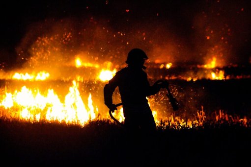 Homem de 75 anos detido a caçar junto a incêndio ativo no Fundão