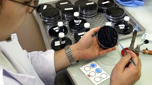 Deteção de 'Legionella' em Duas Escolas de Paredes Obriga a Medidas de Contingência