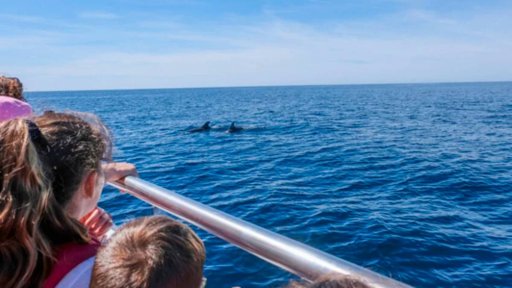 Projeto “Viagem ao Reino Azul” Leva Alunos de Albufeira a Aprender no Mar