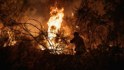 Sernancelhe Aprova Apoios Financeiros para Recuperação de Áreas Ardidas