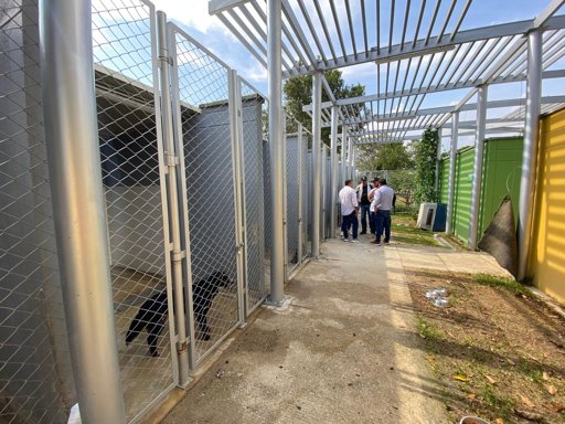 Denuncias por presuntas eutanasias irregulares en la Unidad de Bienestar Animal de Bucaramanga