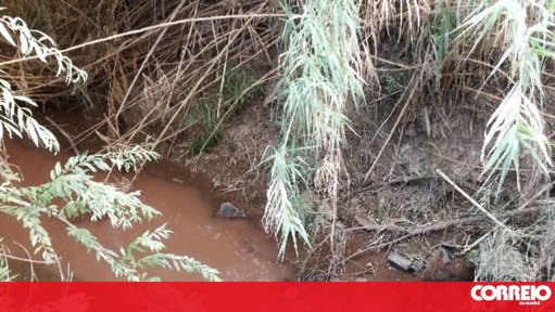 Movimentos ecologistas denunciam novas descargas poluentes no rio Maior e apontam responsabilidades à indústria do tomate
