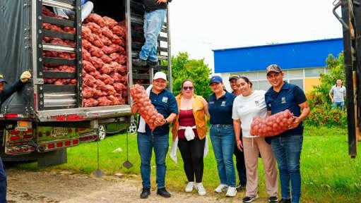 Gobierno invertirá $14.600 millones para comprar 8.000 toneladas de papa a pequeños productores