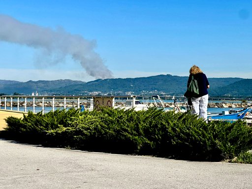 Mulher de 70 anos morre carbonizada em queima de sobrantes que originou incêndio florestal