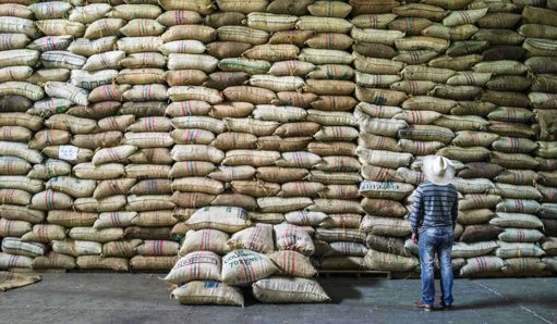 Sector cafetero de Colombia cierra 2025 con producción y precios históricos
