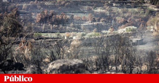 Presidente Promulga Reforço de Medidas de Apoio às Vítimas de Incêndios Rurais